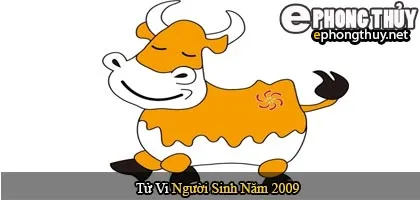 Tử vi người sinh năm 2009 Kỷ Sửu