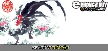 Tử vi Trọn đời tuổi Dậu