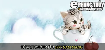 Tử vi tuổi Ất mão 1975 nam mạng