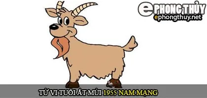 Tử vi tuổi Ất Mùi 1955 nam mạng