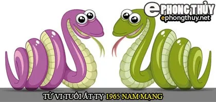 Tử vi tuổi Ất Tỵ 1965 nam mạng