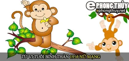 Tử vi tuổi Bính Thân 1956 nữ mạng