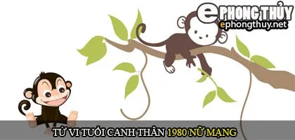 Tử vi tuổi Canh Thân 1980 nữ mạng