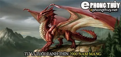 Tử vi tuổi Canh Thìn 2000 nam mạng