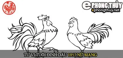 Tử vi tuổi Đinh Dậu 1957 nữ mạng