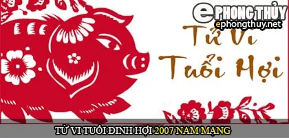 Tử vi tuổi Đinh Hợi 2007 nam mạng