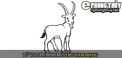 Tử vi tuổi Đinh Mùi 1967 nam mạng