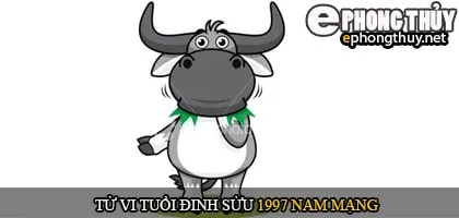 Tử vi tuổi Đinh sửu 1997 nam mạng