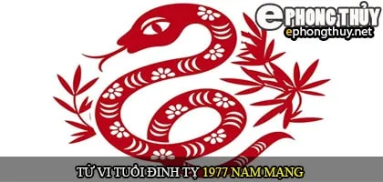 Tử vi tuổi Đinh Tỵ 1977 nam mạng