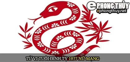 Tử vi tuổi Đinh Tỵ 1977 nữ mạng