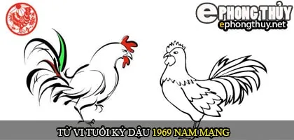 Tử vi tuổi Kỷ Dậu 1969 nam mạng