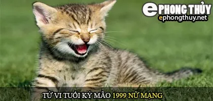 Tử vi tuổi Kỷ mão 1999 nữ mạng
