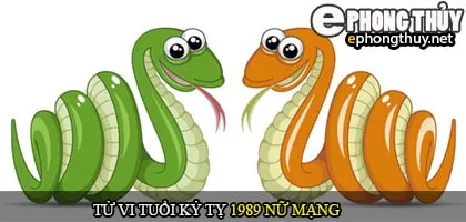 Tử vi tuổi Kỷ Tỵ 1989 nữ mạng