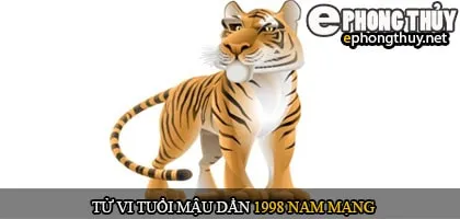 Tử vi tuổi Mậu dần 1998 nam mạng