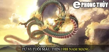 Tử vi tuổi Mậu Thìn 1988 nam mạng