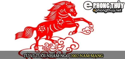 Tử vi tuổi Nhâm Ngọ 2002 nam mạng