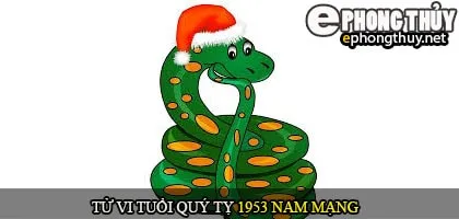 Tử vi tuổi Quý tỵ 1953 nam mạng