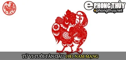Tử vi tuổi Tân Dậu 1981 nam mạng