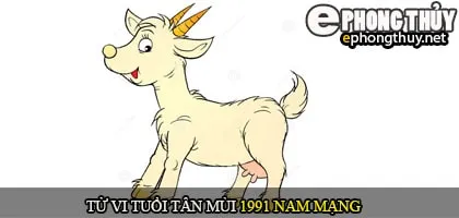 Tử vi tuổi Tân Mùi 1991 nam mạng