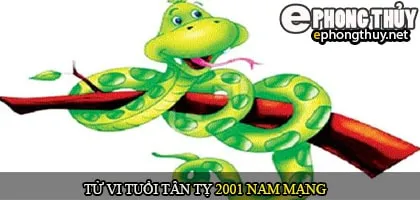 Tử vi tuổi Tân Tỵ 2001 nam mạng