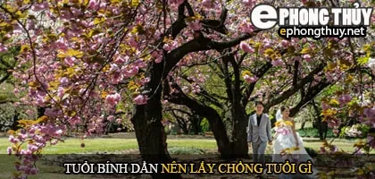Tuổi bính dần nên lấy chồng tuổi gì