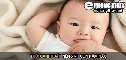 Xem năm sinh con hợp tuổi canh tuất