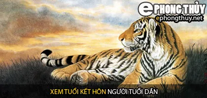 Xem tuổi dần hợp với tuổi nào