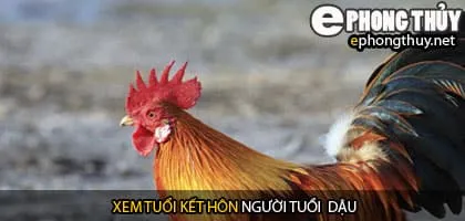 Xem tuổi dậu hợp với tuổi nào