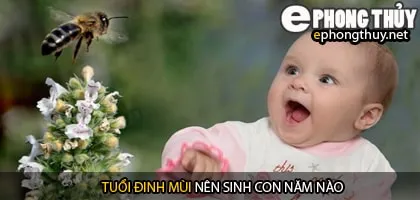 Xem năm sinh con hợp tuổi đinh mùi