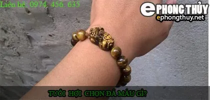 Tuổi Hợi nên chọn đá màu nào?