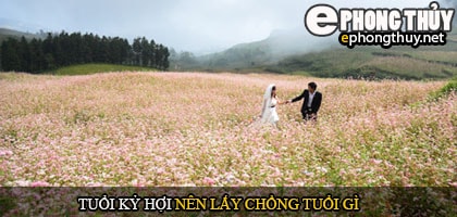 Tuổi kỷ hợi nên lấy chồng tuổi gì