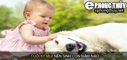 Xem năm sinh con hợp tuổi kỷ mùi