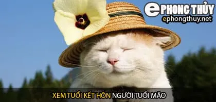 Xem tuổi mão hợp với tuổi nào