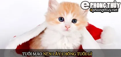 Tuổi Mão nên lấy chồng tuổi gì