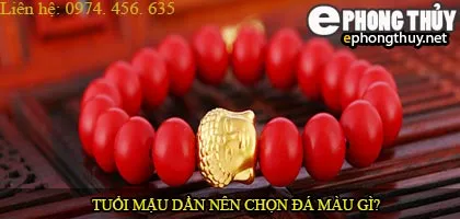 Tuổi mậu dần nên chọn đá màu nào?