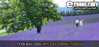 Tuổi mậu dần nên lấy chồng tuổi gì