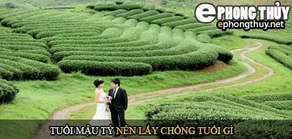 Tuổi mậu tý nên lấy chồng tuổi gì