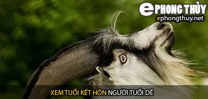 Xem tuổi mùi hợp với tuổi nào