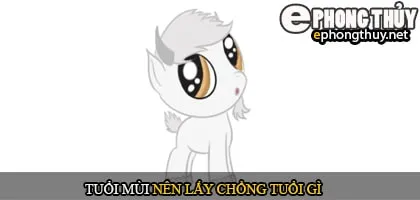 Tuổi Mùi nên lấy chồng tuổi gì