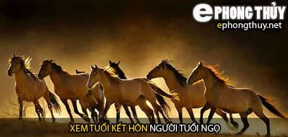 Xem tuổi ngọ hợp với tuổi nào