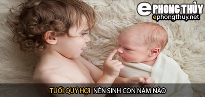 Xem năm sinh con hợp tuổi quý hợi