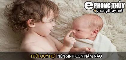Xem năm sinh con hợp tuổi quý hợi