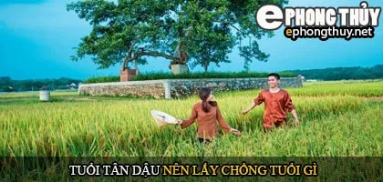 Tuổi tân dậu nên lấy chồng tuổi gì