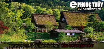 Xem tuổi xây nhà cho tuổi Tân Sửu năm 2025