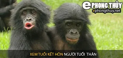 Xem tuổi thân hợp với tuổi nào