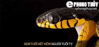 Xem tuổi tị hợp với tuổi nào
