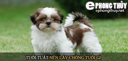 Tuổi Tuất nên lấy chồng tuổi gì
