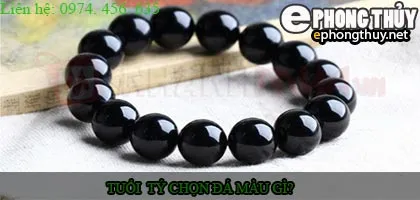 Tuổi tý nên chọn đá màu nào?