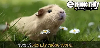 Tuổi Tý nên lấy chồng tuổi gì
