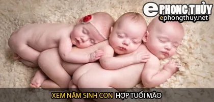 Xem năm sinh con hợp tuổi mão
